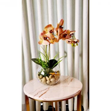 Orchids Arrangements Orchids Arrangements