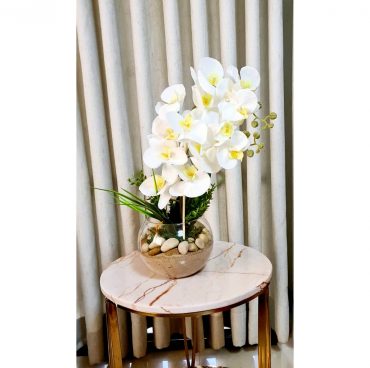 Orchids Arrangements Orchids Arrangements
