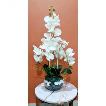 Orchids Arrangements Orchids Arrangements