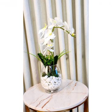 Orchids Arrangements Orchids Arrangements