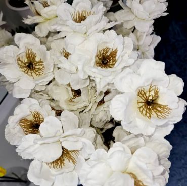 Flowers Flowers