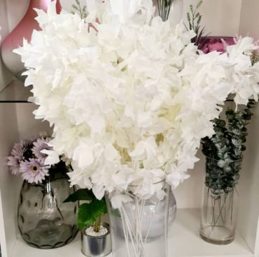 Flowers Flowers