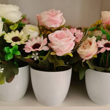 Potted Flowers & Sacculents Potted Flowers & Sacculents