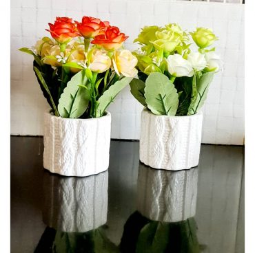 Potted Flowers & Sacculents Potted Flowers & Sacculents