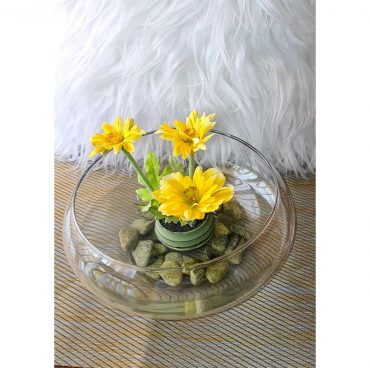 Potted Flowers & Sacculents Potted Flowers & Sacculents